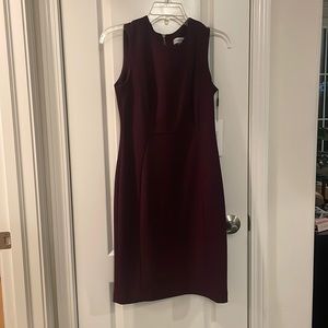 Calvin Klein Burgundy Dress